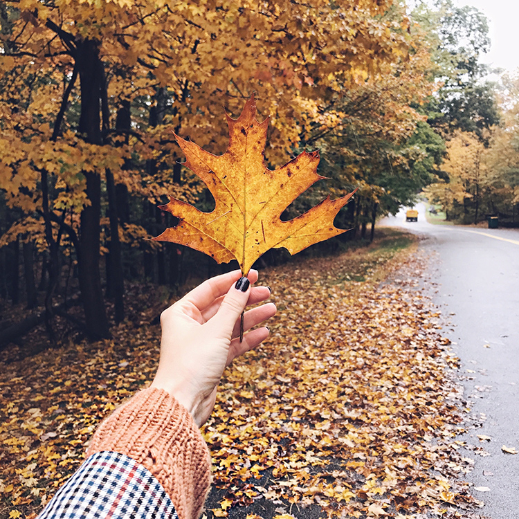 woman showing leaf for Happy Friday 