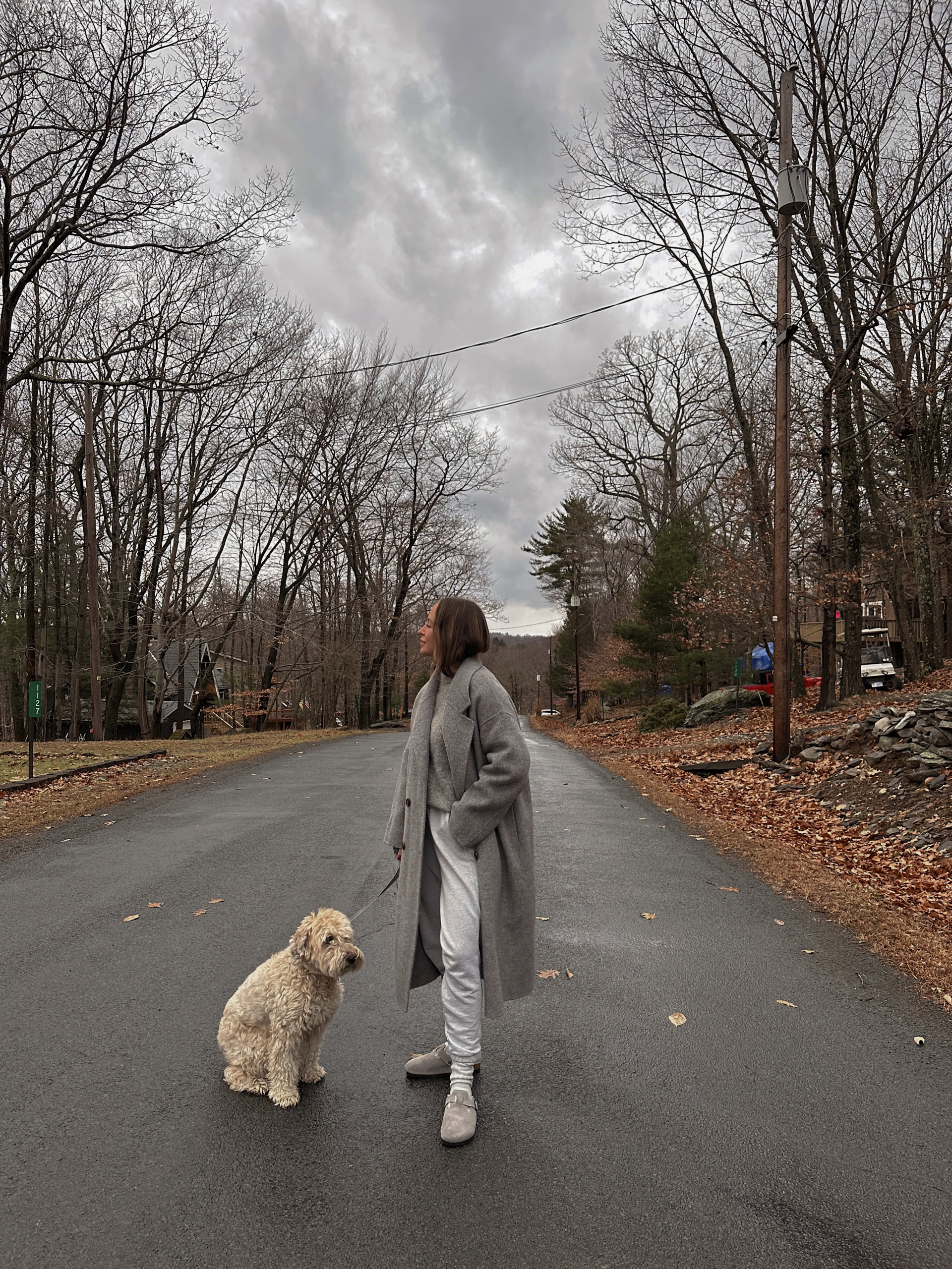 woman walking her dog and Easing into 2023